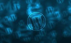 Complete WordPress Website Developer course